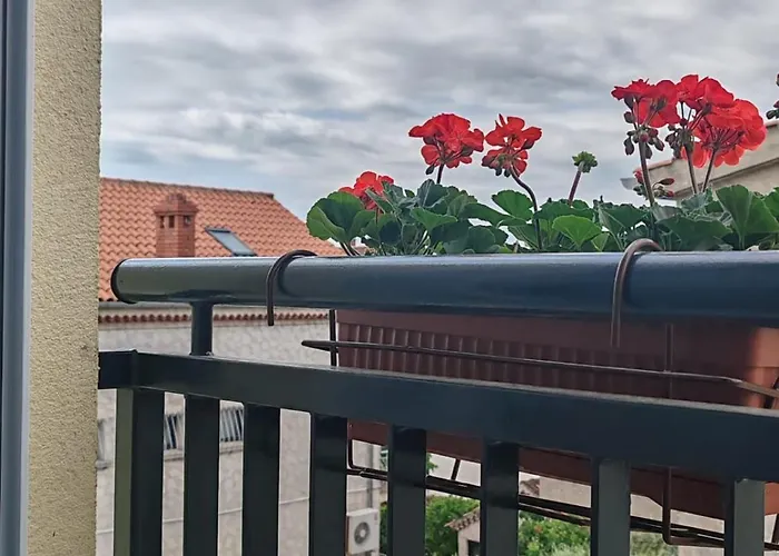 Adriatica Задар